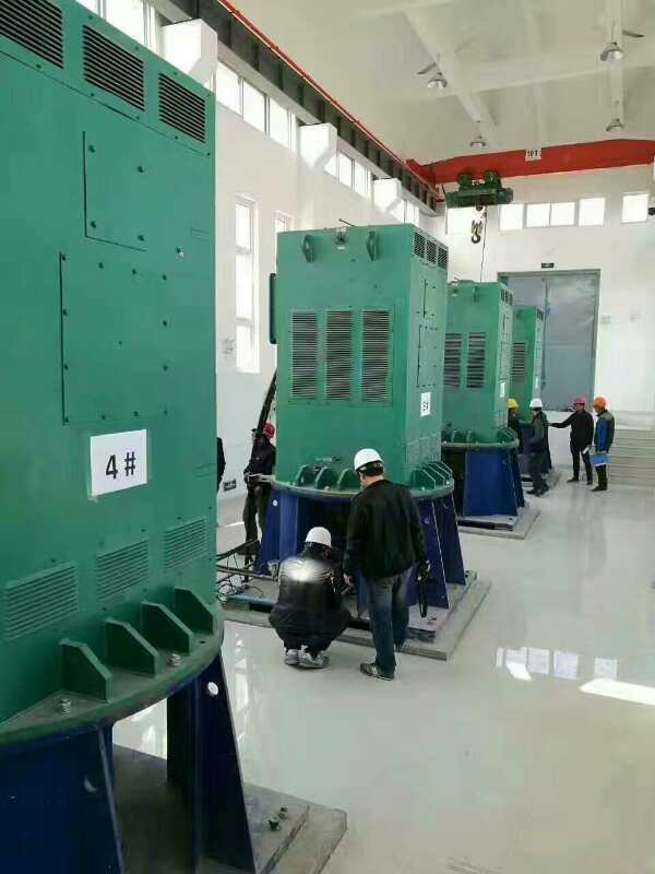 务川某污水处理厂使用我厂的立式高压电机安装现场